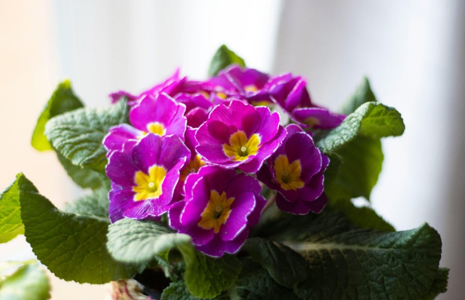 Screenshot 2026-02-02 112113.png